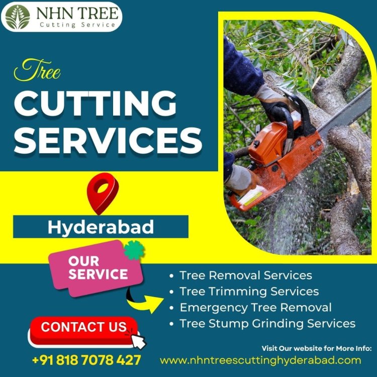 Tree Cutting Services in Hyderabad - NHN Tree Cutting Services