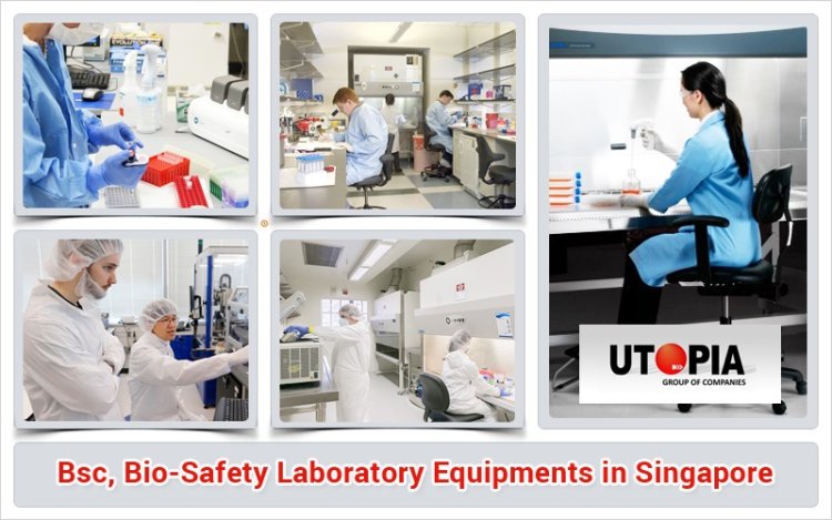 Top Quality Bio-Safety Laboratory Equipments For Sale 2024