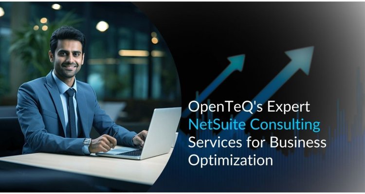 OpenTeQ's Expert NetSuite Consulting Services for Business Optimization