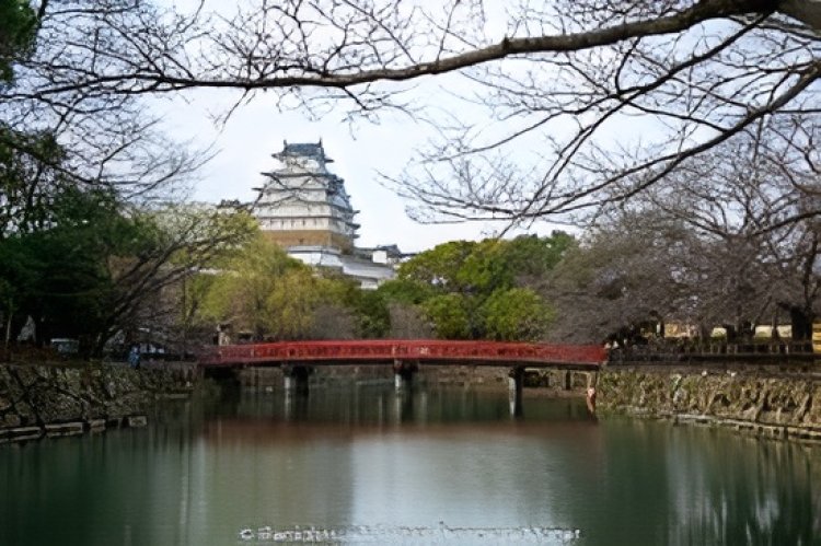 The 7 Most Iconic Attractions in Japan