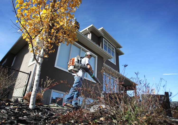 Assiniboine Lawns & Landscapes