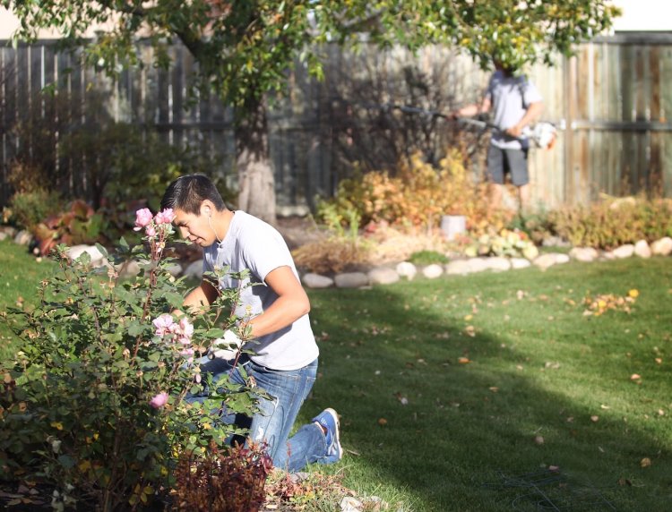 Assiniboine Lawns & Landscapes