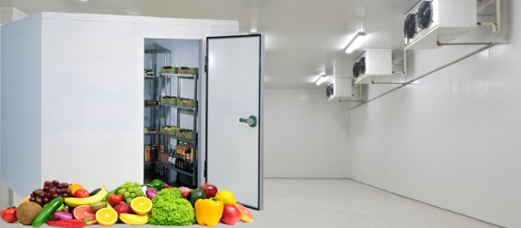 The Benefits of Modular Cold Rooms for Growing Businesses