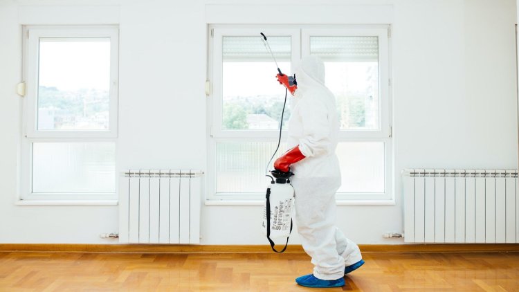 How Moore Pest Control New York Ensures Effective Pest Management?