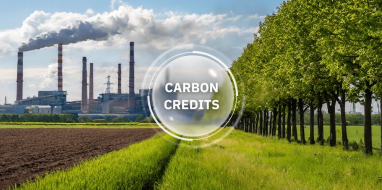 Carbon Credits Market Overview, Outlook, Size, and Share 2024-2033