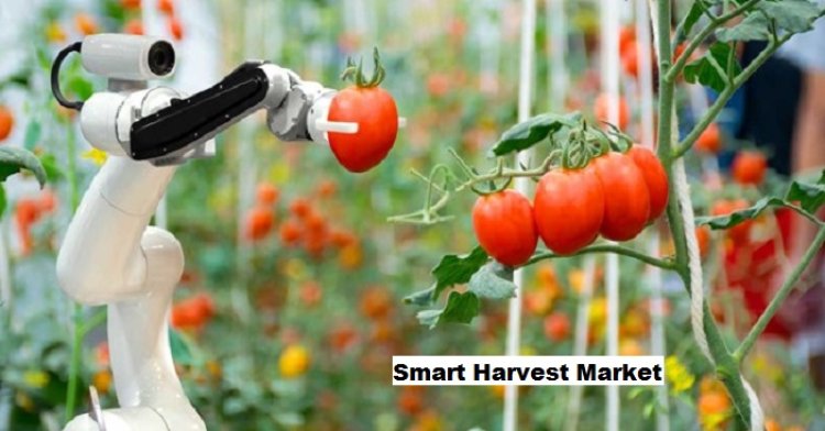 Smart Harvest Market: IoT and Urban Expansion Transforming Farming Practices