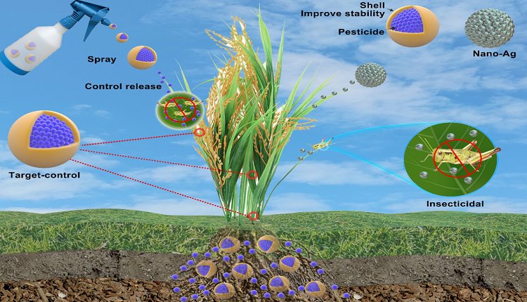 Slow and Controlled Release Pesticides Market: Rising Safety Demand Spurs Market Increase