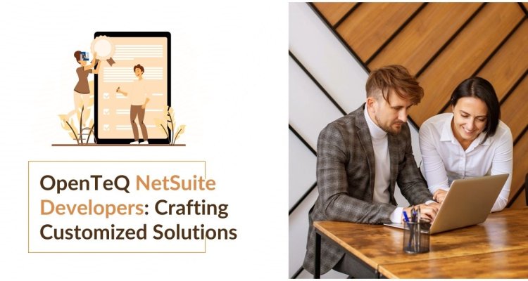 OpenTeQ NetSuite Developers: Crafting Customized Solutions