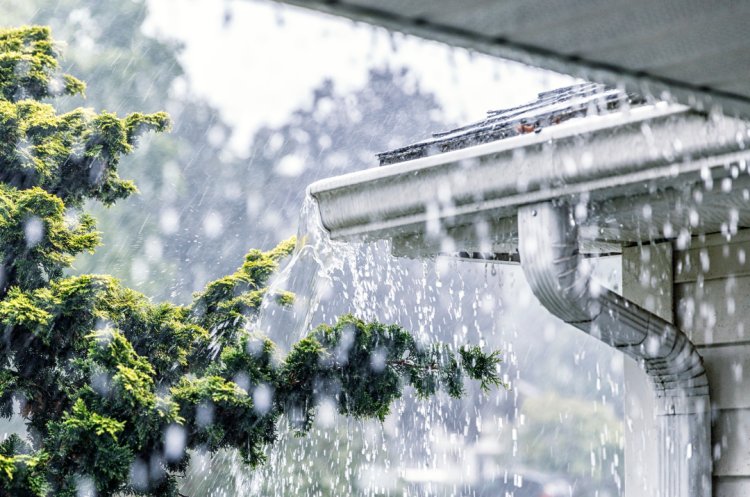 Rainwater Harvesting: Using Your Gutters for Water Conservation