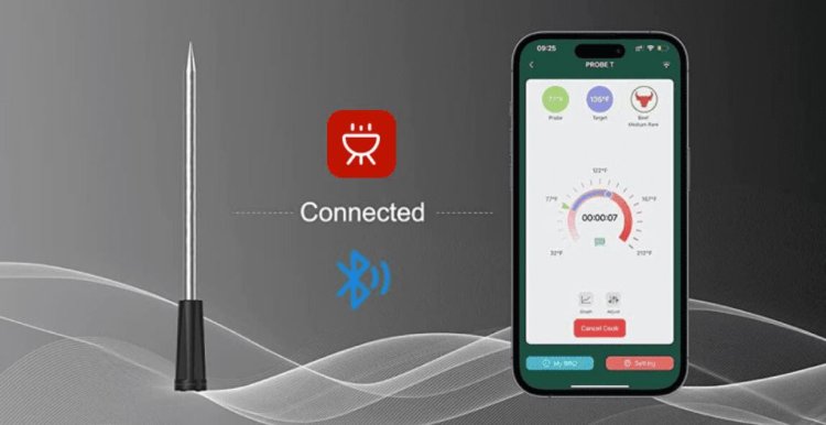What Is Wamoma Smart Meat Thermometer? - 6 Tips for Using the Wamoma Smart Thermometer Effectively