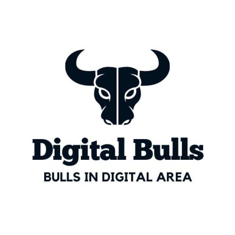 The Digital Bulls: Pioneering Digital Marketing Excellence in India