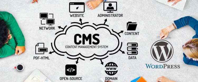 Major Costs of CMS Development Services in Australia