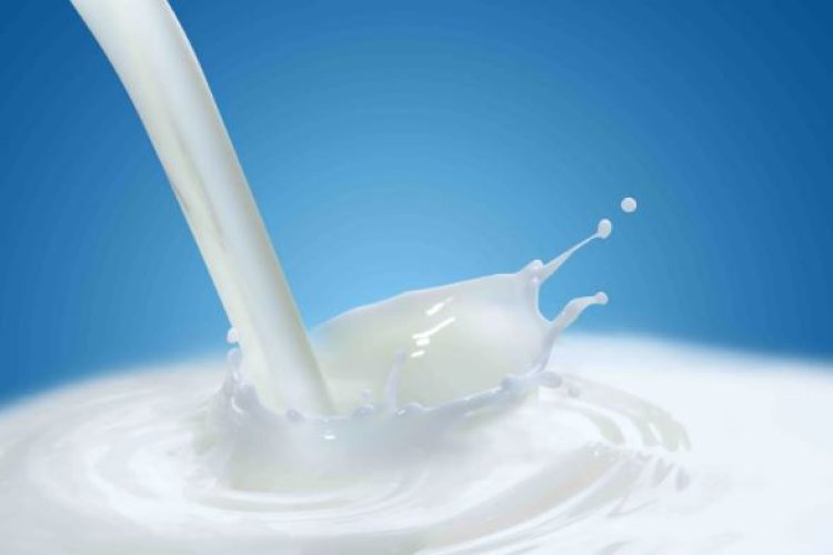 Discover the Revolutionary Milk Depot Blender: Fresh, Nutritious Milk in Under a Minute