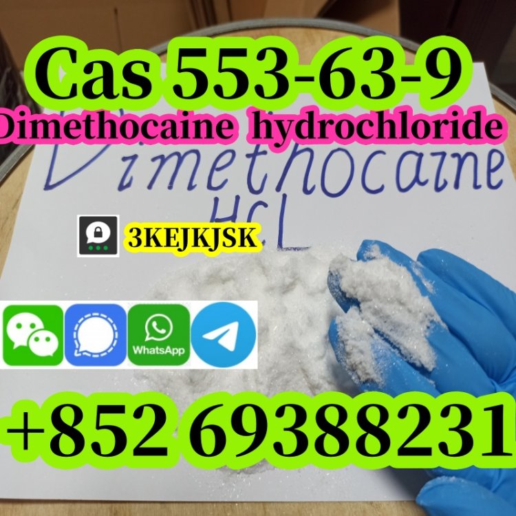 quality guaranteed Dimethocaine powder Cas 94-15-5 Dimethocaine HCL Cas 553-63-9