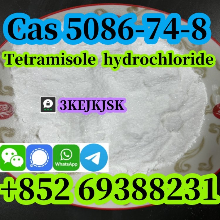 Tetramisole hydrochloride powder Cas 5086-74-8 quality guaranteed best service