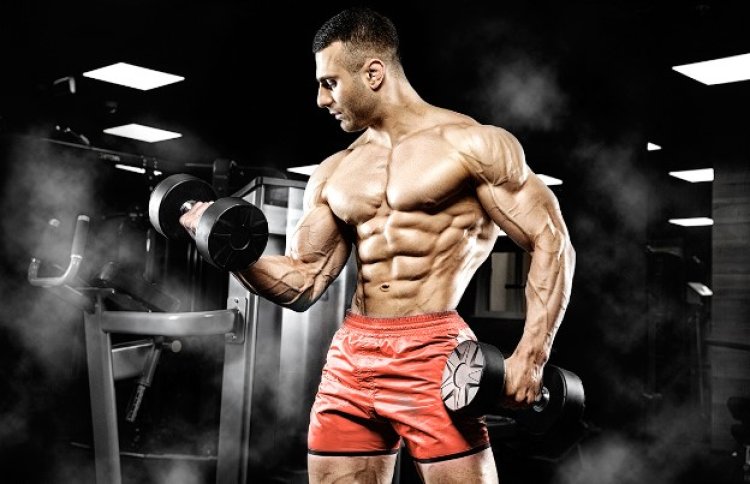 First Steroid Cycle Reviews: Safest Steroids for First-Time Users