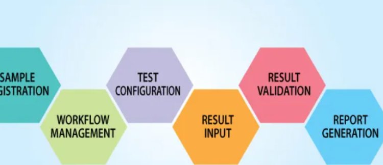 Laboratory Information Management System Market Size, Insights Forecast, Growth, Trends 2024-2033