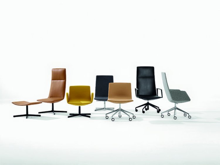 Office Chairs for Different Body Types: Finding the Right Fit for Everyone