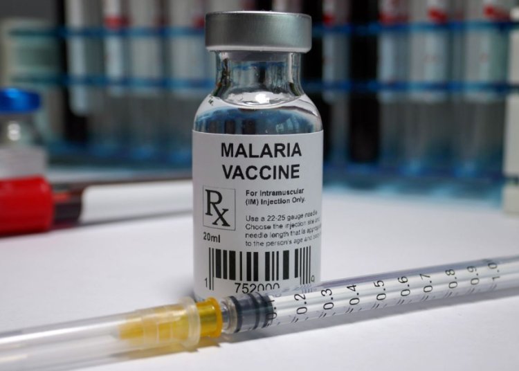 Malaria Vaccines Market Size, Insights Forecast, Growth, Trends 2024-2033