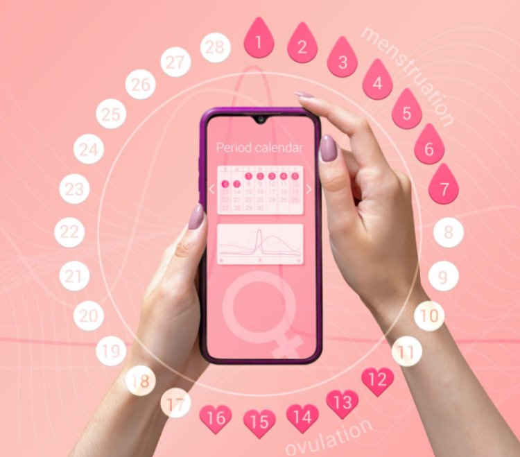 Menstrual Health Apps Market Opportunities, Size, Share, and Analysis 2024-2033