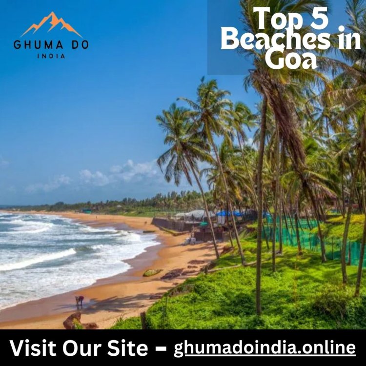 Top 5 Beaches in Goa: Discover the Hidden Gems