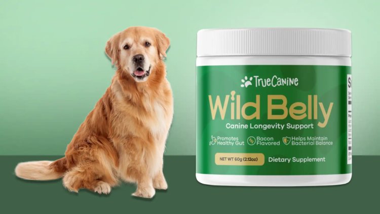 What do pet owners say about the ease of administering Wild Belly Probiotics to their dogs?