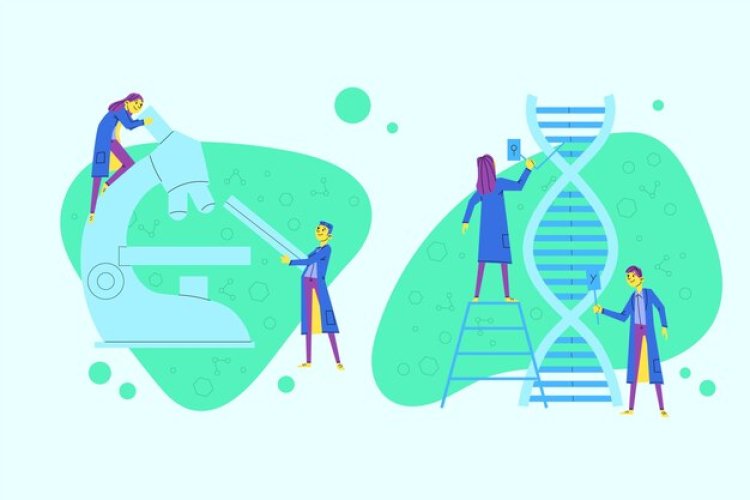 CRISPR And Cas Gene Market Forecast 2024-2033: Projected CAGR, Key Drivers, And Trends