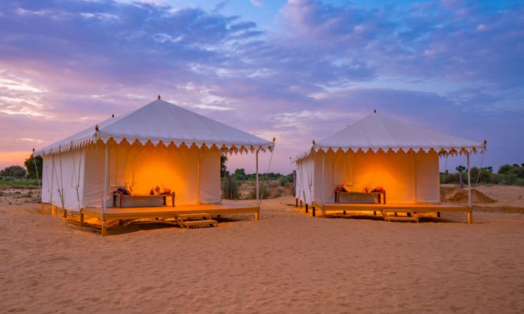 Best Camp Service in Jaisalmer: Experience the Magic at Dangri Desert Camp