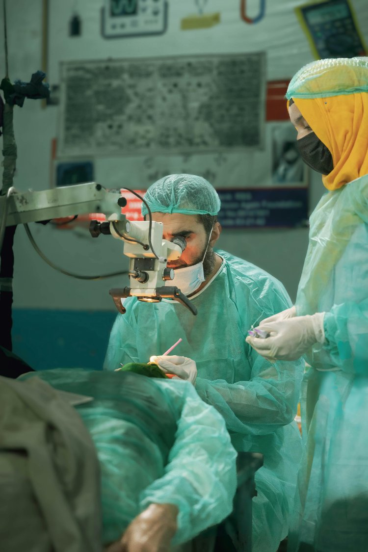 Surgical Visualization Products Market Expansion 2024-2033: Growth Drivers and Dynamics