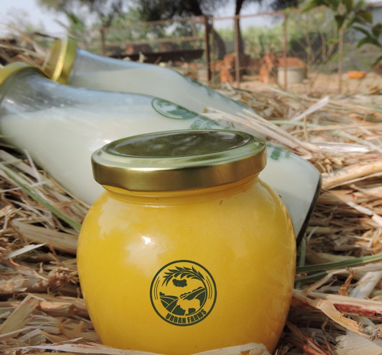 How Gir Cow Ghee Can Help with Weight Management and Metabolism?