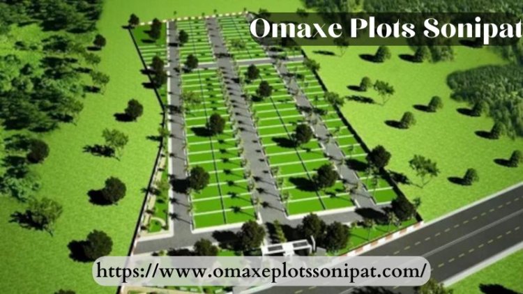 Omaxe Plots Sonipat | Residential Land For Sale