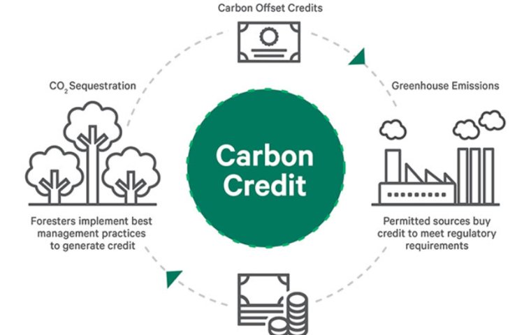 Carbon Credit Market Opportunities, Size, Share, and Analysis 2024-2033