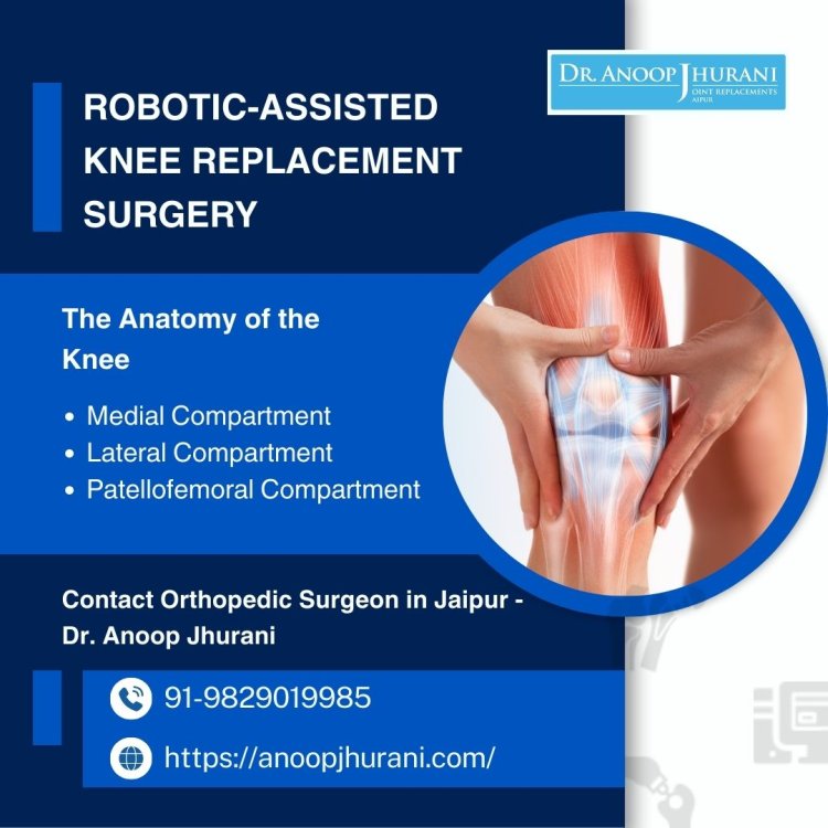 Understanding Knee Anatomy, Osteoarthritis