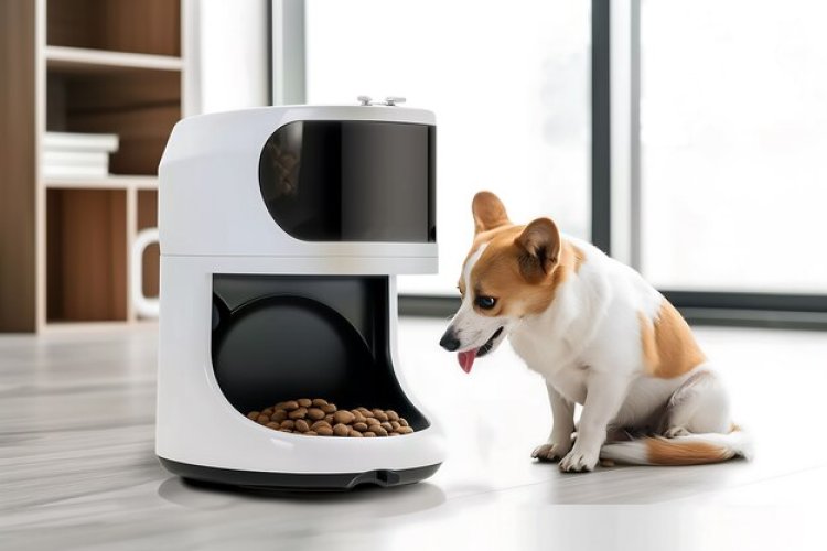 Automatic And Smart Pet Feeder Market Forecast 2024-2033: Projected CAGR, Key Drivers, And Trends