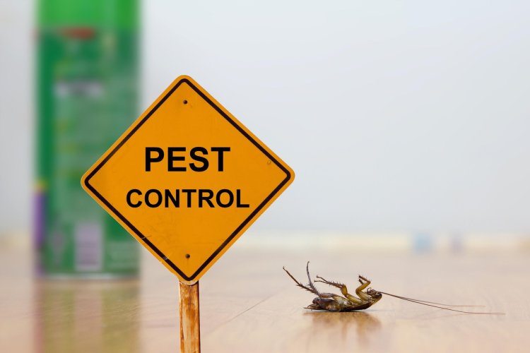 Cockroach Pest Control Service in Delhi by Godrej Pest Control