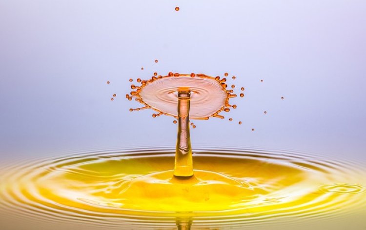 Hydraulic Fluid Global Market Projected to Experience a Growth Rate of 5.8% CAGR, Reaching over $10.80 Billion By 2028