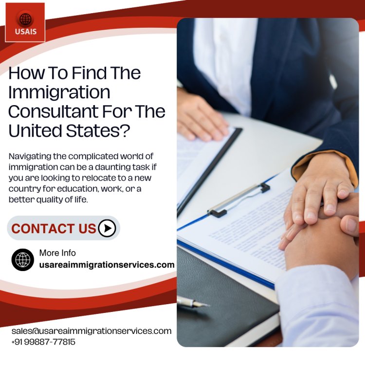 How To Find The Immigration Consultant For The United States?