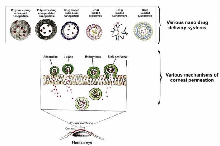 Next-Generation Drug Delivery Technologies for Glaucoma