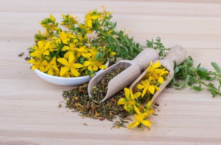 Ayurvedic Herbal Extract Market 2024-2033: Technological Advancements, Competitive Landscape and Strategies