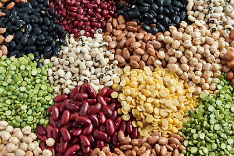 MEA Vegetable Seed Market Scope, Growth Drivers, Trends, Competitive Analysis and Future Share 2032: Organic Market Research