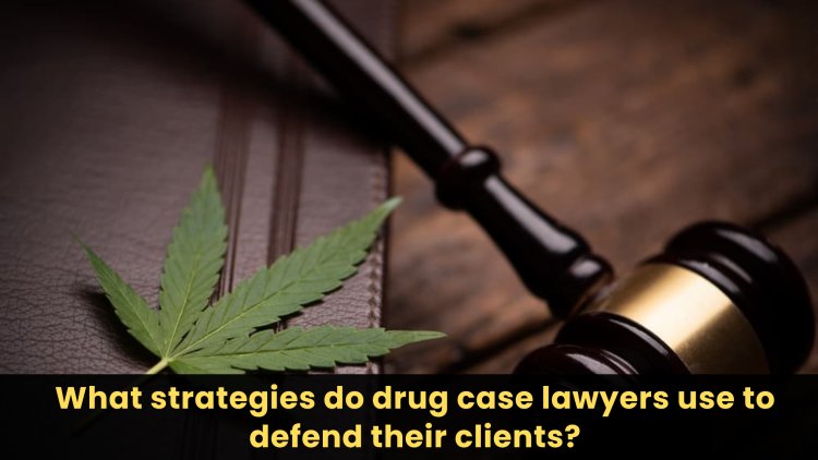 What strategies do drug case lawyers use to defend their clients?