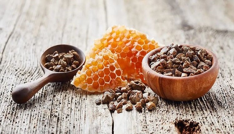 Bee Propolis Extract Market: Increasing Nutraceutical Use and Tech Innovations Boost Growth