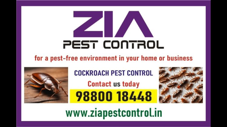 Cockroach Spray and Jel treatment | Zia pest control | Bangalore | 1986