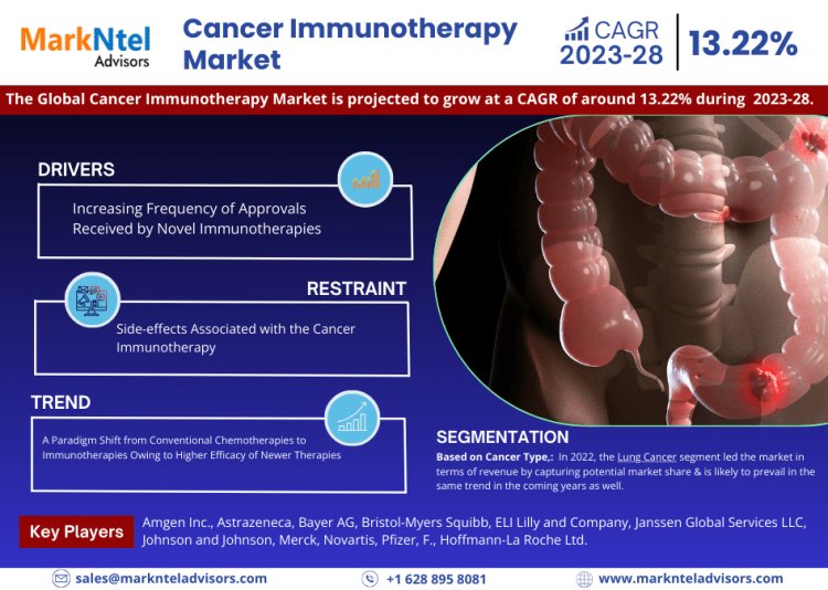 Cancer Immunotherapy Market to Exhibit a Remarkable CAGR of 13.22% by 2028, Size, Share, Trends, Key Drivers, Opportunity Analysis, and Competitive Outlook