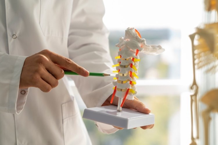 Spine Biologics Market 2024 – Outlook, Overview And Competitor Analysis 2033