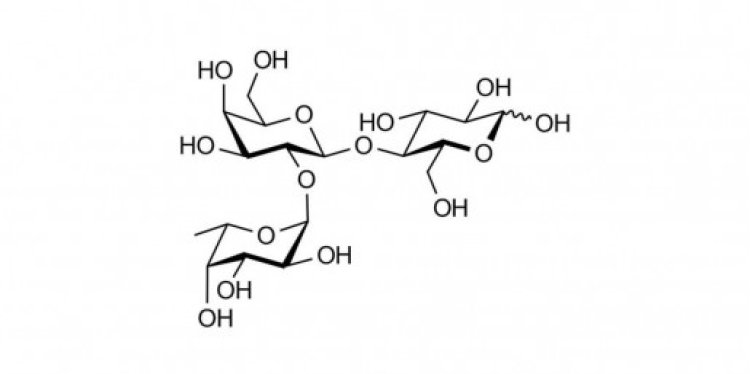 Glycan Standards for Analytical Use