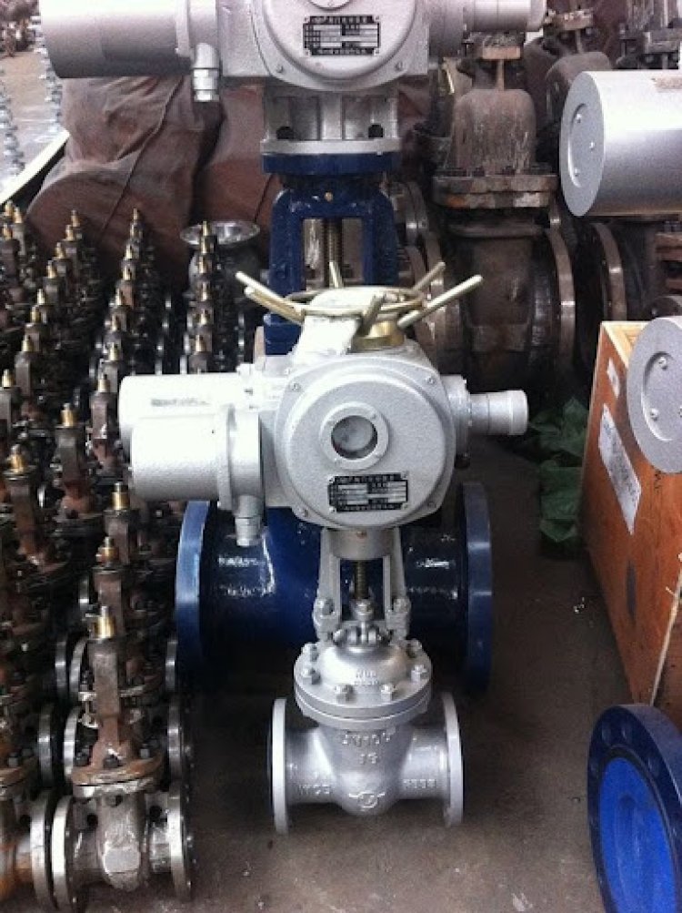 Electric Actuated Gate valve manufacturer in Germany