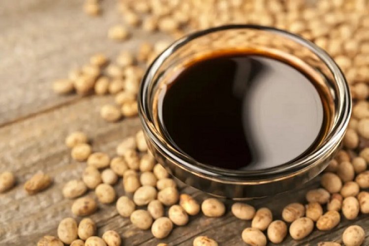 Soy Sauce Manufacturing Plant 2024: Project Report, Comprehensive Business Plan, Requirements and Cost