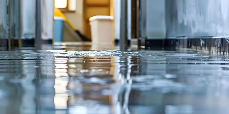 The Benefits of Choosing Local Water Damage Restoration Services