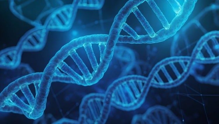 Cell-Free DNA Isolation And Extraction Market Growth Outlook Through 2024-2033